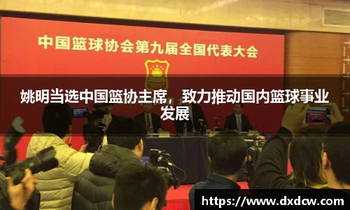 万州国际平台