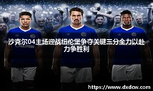 沙克尔04主场迎战纽伦堡争夺关键三分全力以赴力争胜利
