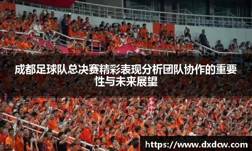 成都足球队总决赛精彩表现分析团队协作的重要性与未来展望